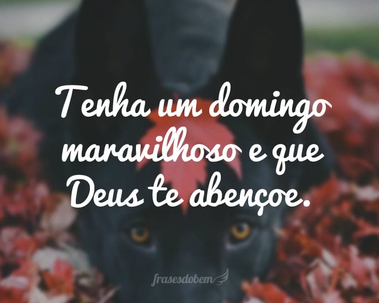 Tenha um domingo maravilhoso e que Deus te abençoe.