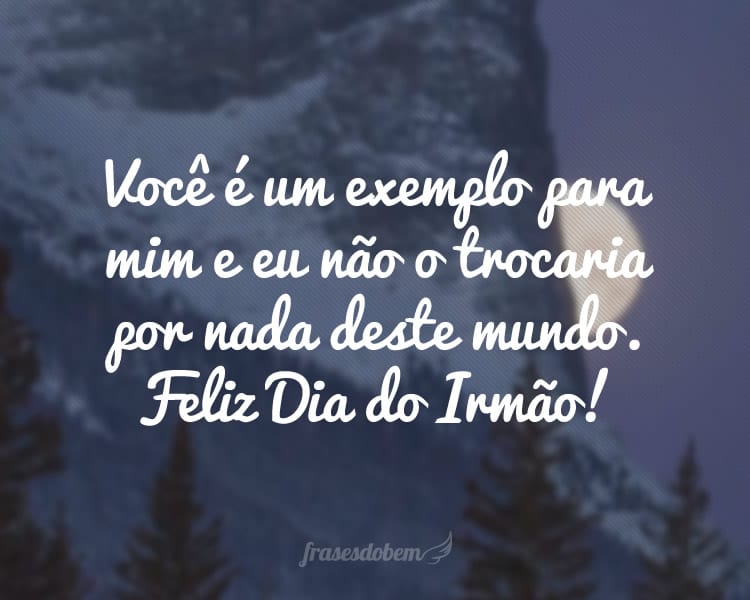 Você é um exemplo para mim e eu não o trocaria por nada deste mundo. Feliz Dia do Irmão!