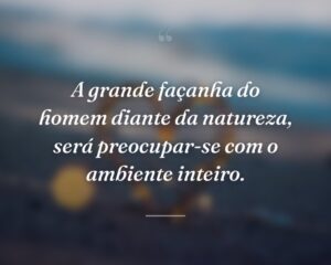A grande façanha do homem diante da natureza, será preocupar-se com o ambiente inteiro.