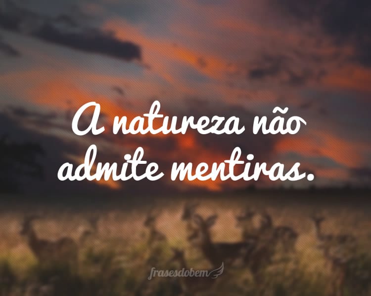 A natureza não admite mentiras.