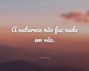 A natureza não faz nada em vão.