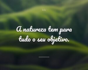 A natureza tem para tudo o seu objetivo.