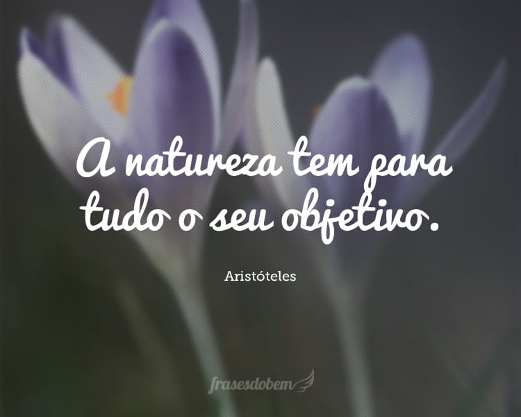 A natureza tem para tudo o seu objetivo.