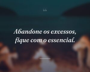 Abandone os excessos, fique com o essencial.