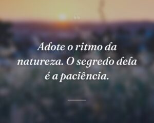 Adote o ritmo da natureza. O segredo dela é a paciência.