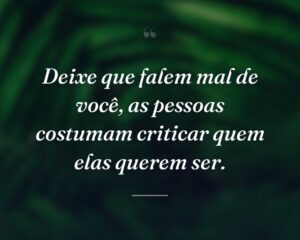 Deixe que falem mal de você, as pessoas costumam criticar quem elas querem ser.