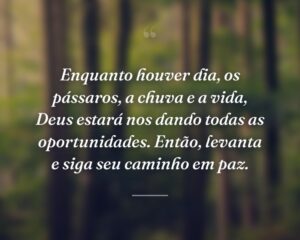 Enquanto houver dia, os pássaros, a chuva e a vida, Deus estará nos dando todas as oportunidades. Então, levanta e siga seu caminho em paz.