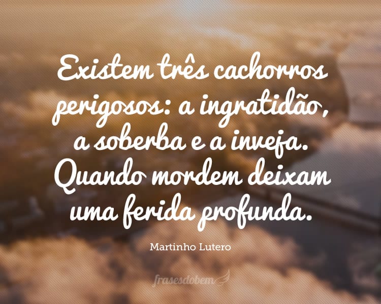 Existem três cachorros perigosos: a ingratidão, a soberba e a inveja. Quando mordem deixam uma ferida profunda.