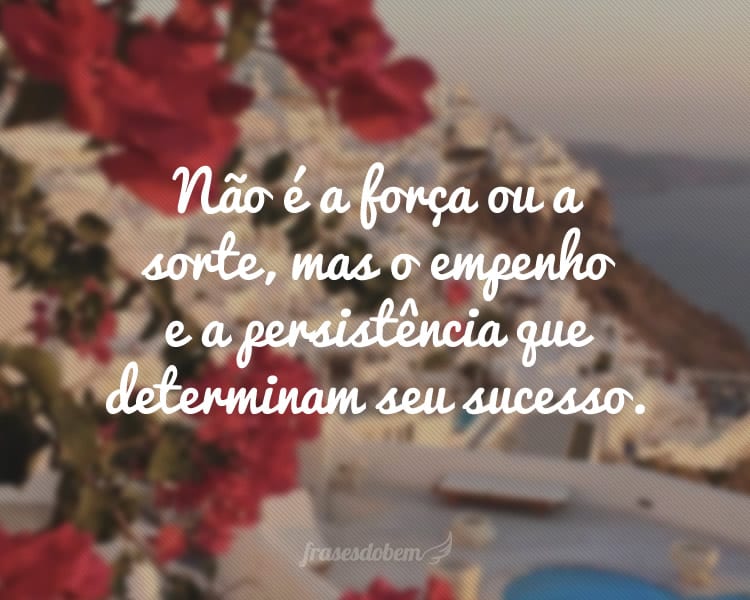 Não é a força ou a sorte, mas o empenho e a persistência que determinam seu sucesso.