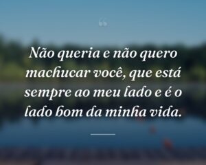Não queria e não quero machucar você, que está sempre ao meu lado e é o lado bom da minha vida.