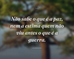 Não sabe o que é a paz, nem a estima quem não viu antes o que é a guerra.