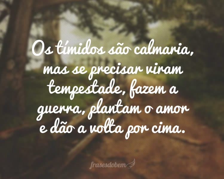 Os tímidos são calmaria, mas se precisar viram tempestade, fazem a guerra, plantam o amor e dão a volta por cima.