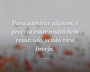 Para admirar alguém, é preciso estar muito bem resolvido, senão vira inveja.