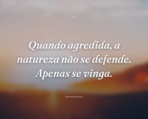Quando agredida, a natureza não se defende. Apenas se vinga.