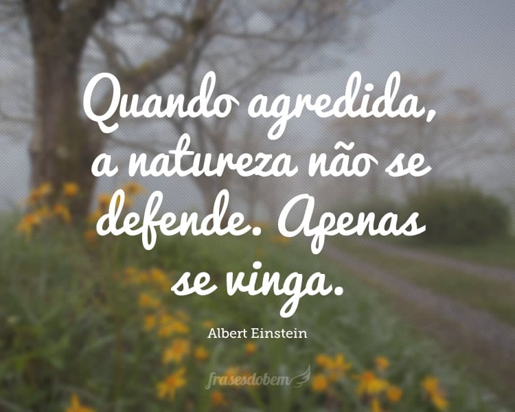 Quando agredida, a natureza não se defende. Apenas se vinga.