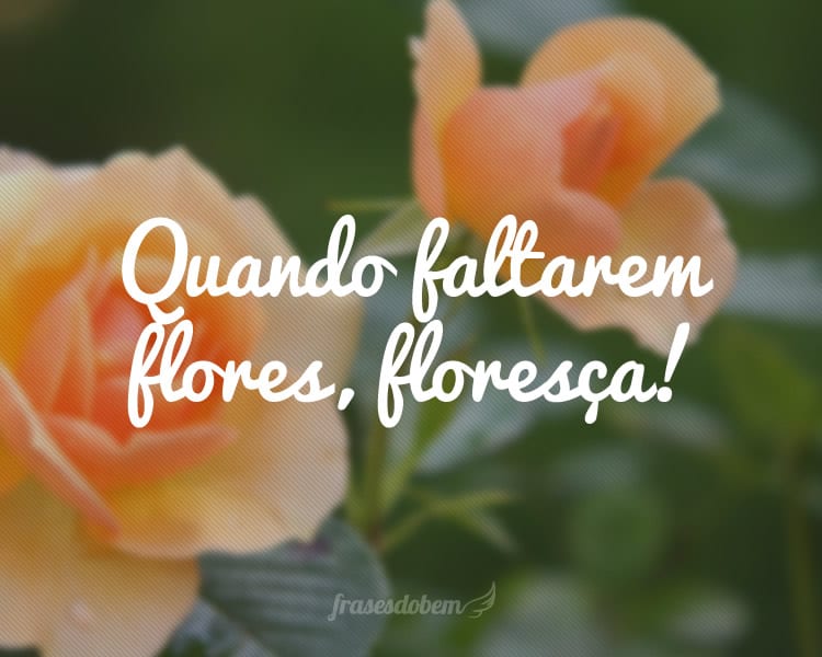 Quando faltarem flores, floresça!