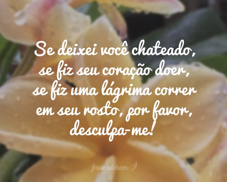 Se deixei você chateado, se fiz seu coração doer, se fiz uma lágrima correr em seu rosto, por favor, desculpa-me!