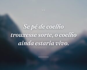 Se pé de coelho trouxesse sorte, o coelho ainda estaria vivo.