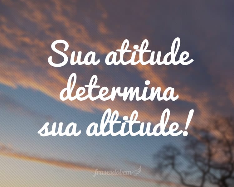 Sua atitude determina sua altitude!