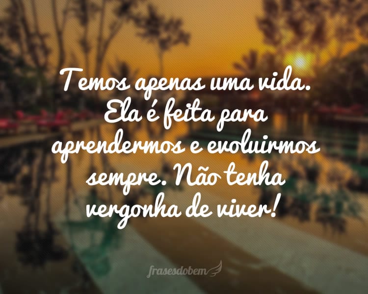 Temos apenas uma vida. Ela é feita para aprendermos e evoluirmos sempre. Não tenha vergonha de viver!