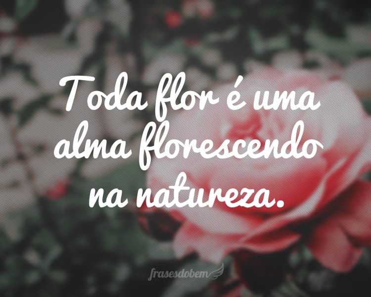 Toda flor é uma alma florescendo na natureza.