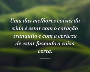 Uma das melhores coisas da vida é estar com o coração tranquilo e com a certeza de estar fazendo a coisa certa.