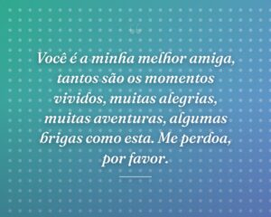 Você é a minha melhor amiga, tantos são os momentos vividos, muitas alegrias, muitas aventuras, algumas brigas como esta. Me perdoa, por favor.