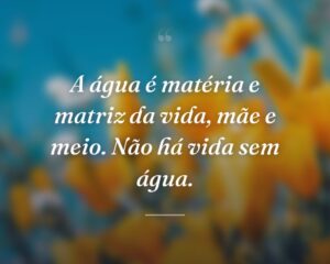A água é matéria e matriz da vida, mãe e meio. Não há vida sem água.
