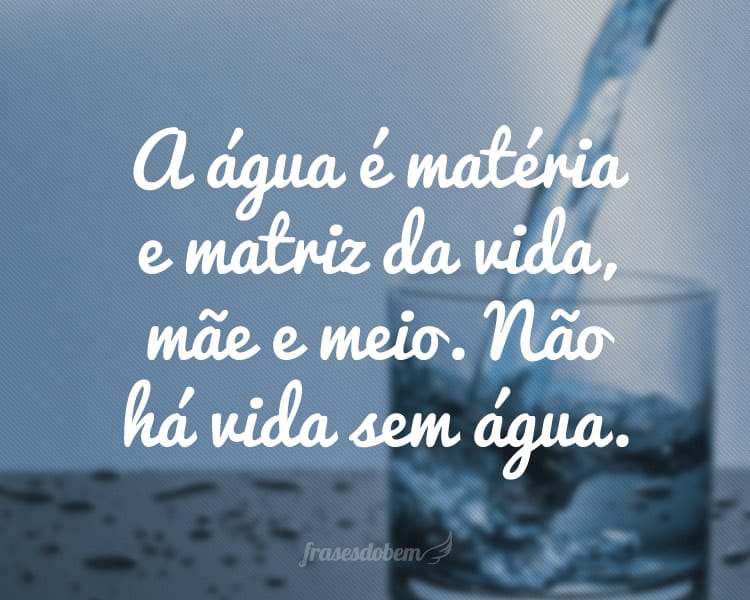 A água é matéria e matriz da vida, mãe e meio. Não há vida sem água.