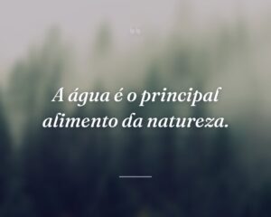 A água é o principal alimento da natureza.