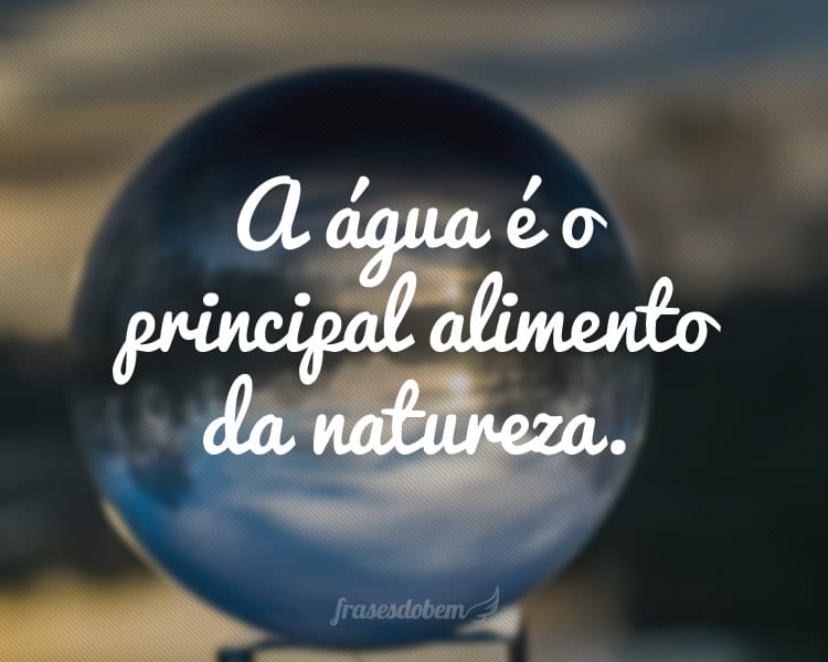 A água é o principal alimento da natureza.