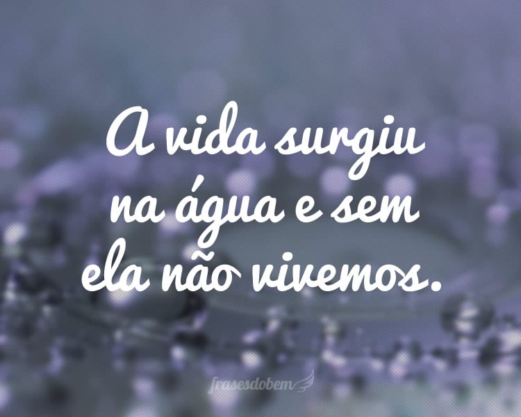 A vida surgiu na água e sem ela não vivemos.