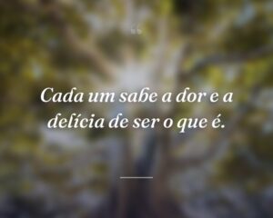 Cada um sabe a dor e a delícia de ser o que é.