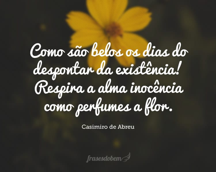 Como são belos os dias do despontar da existência! Respira a alma inocência como perfumes a flor.