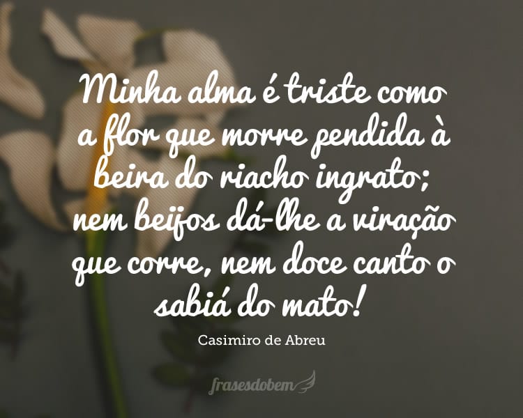 Minha alma é triste como a flor que morre pendida à beira do riacho ingrato; nem beijos dá-lhe a viração que corre, nem doce canto o sabiá do mato!