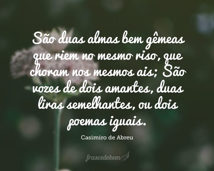 São duas almas bem gêmeas que riem no mesmo riso, que choram nos mesmos ais; São vozes de dois amantes, duas liras semelhantes, ou dois poemas iguais.