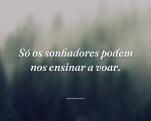 Só os sonhadores podem nos ensinar a voar.