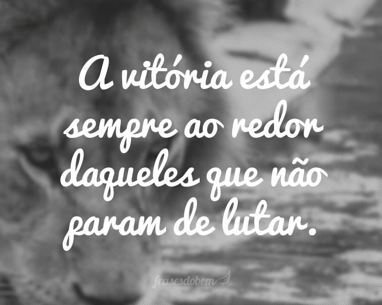 A vitória está sempre ao redor daqueles que não param de lutar.