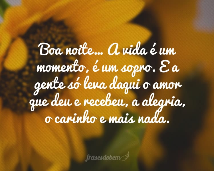 frases de boa noite página 2 de 4