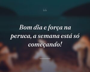 Bom dia e força na peruca, a semana está só começando!