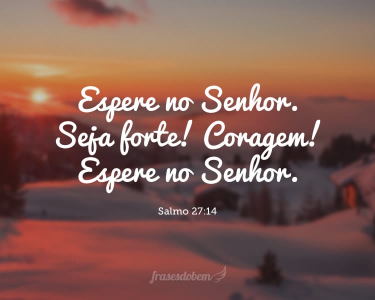 Espere no Senhor. Seja forte! Coragem! Espere no Senhor. (Salmo 27:14)