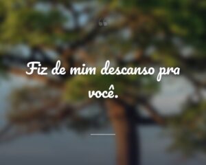 Fiz de mim descanso pra você.