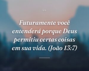 Futuramente você entenderá porque Deus permitiu certas coisas em sua vida. (João 13:7)