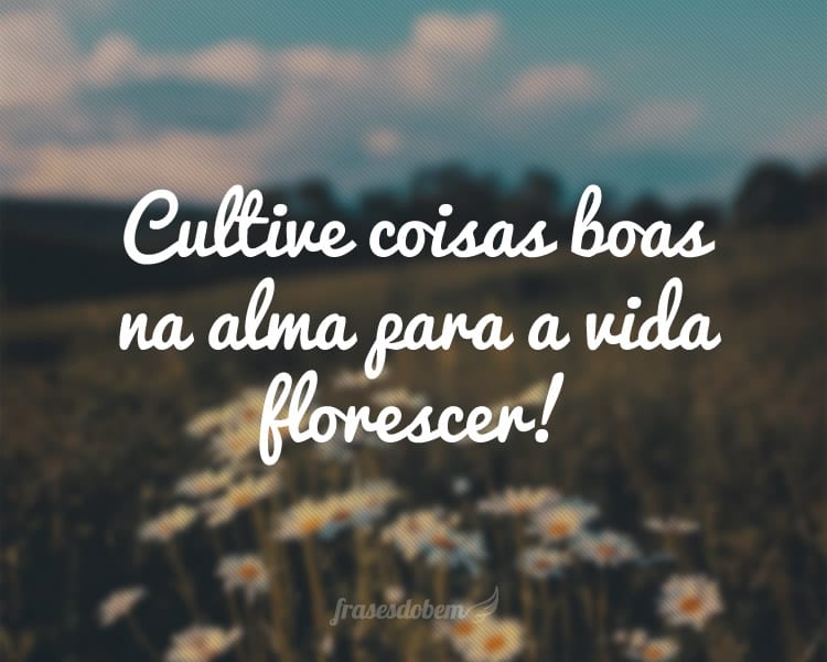 Cultive coisas boas na alma para a vida florescer!