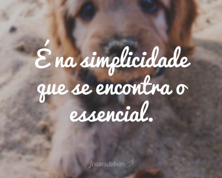 É na simplicidade que se encontra o essencial.