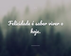 Felicidade é saber viver o hoje.