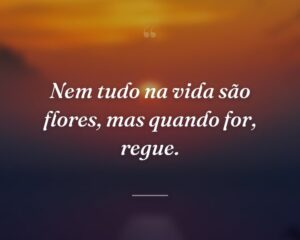 Nem tudo na vida são flores, mas quando for, regue.