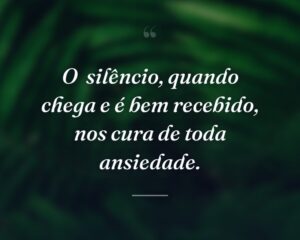 O  silêncio, quando chega e é bem recebido, nos cura de toda ansiedade.