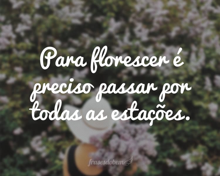 Para florescer é preciso passar por todas as estações.