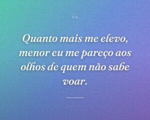 Quanto mais me elevo, menor eu me pareço aos olhos de quem não sabe voar.